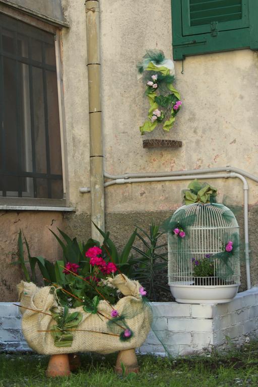 Отель La Mia Casa Di Campagna Rovieto Экстерьер фото