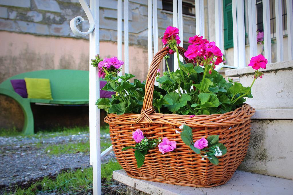 Отель La Mia Casa Di Campagna Rovieto Экстерьер фото